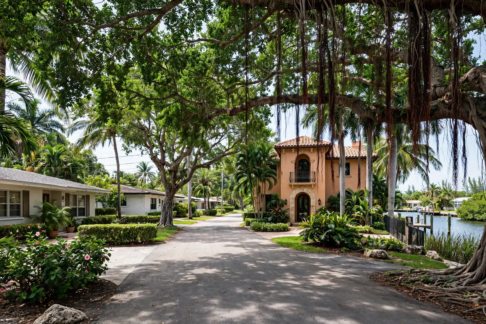 Established homes and mature trees on a street in Camino Gardens, Boca Raton